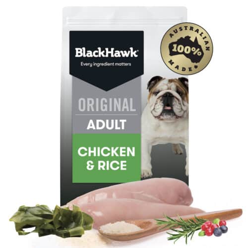 Black Hawk Adult Chicken & Rice