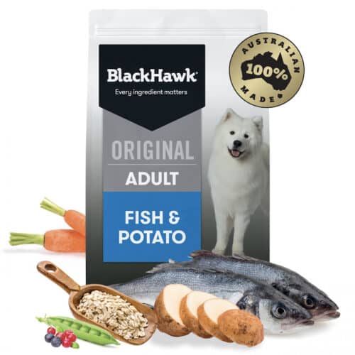 Black Hawk Adult Fish & Potato