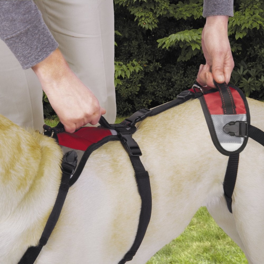 Total Pet Health Lift & Go Mobility Lead & Harness - Petworkz