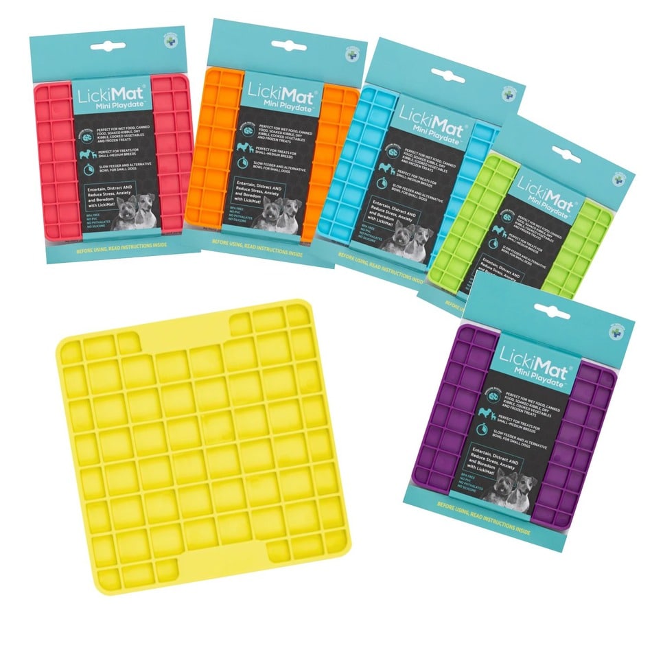 LickiMat® Mini Playdate