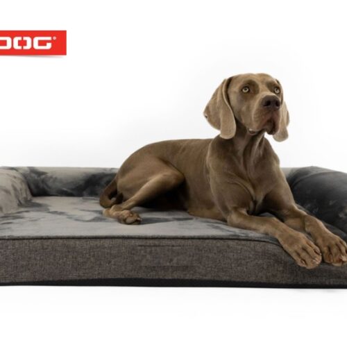 EzyDog Next-Gen Ortho Lounger Charcoal XL 120cm x 90cm x 20cm