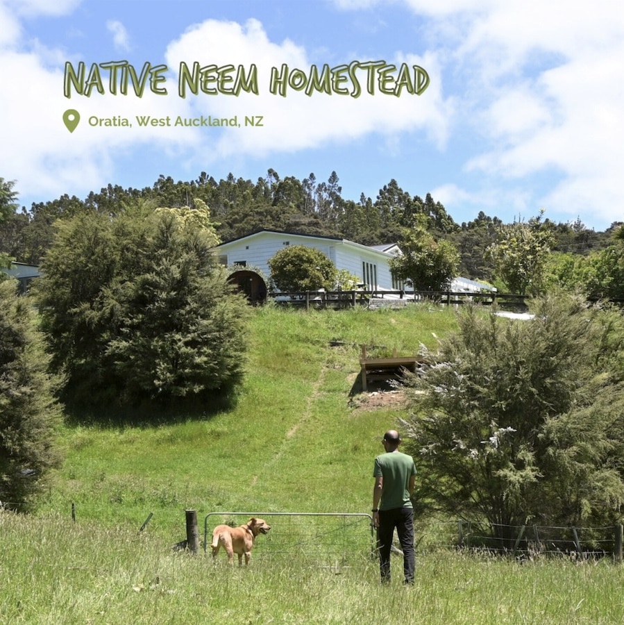 Outdoor view of Native Neem homestead in Auckland
