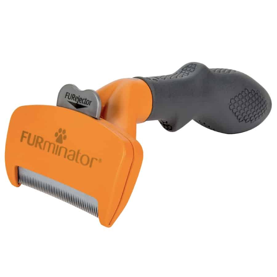 How to Use a Deshedding Tool Effectively on Short Hair Dogs