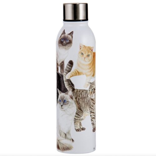 Ashdene Purrrfect Moments Drink Bottle 500ml