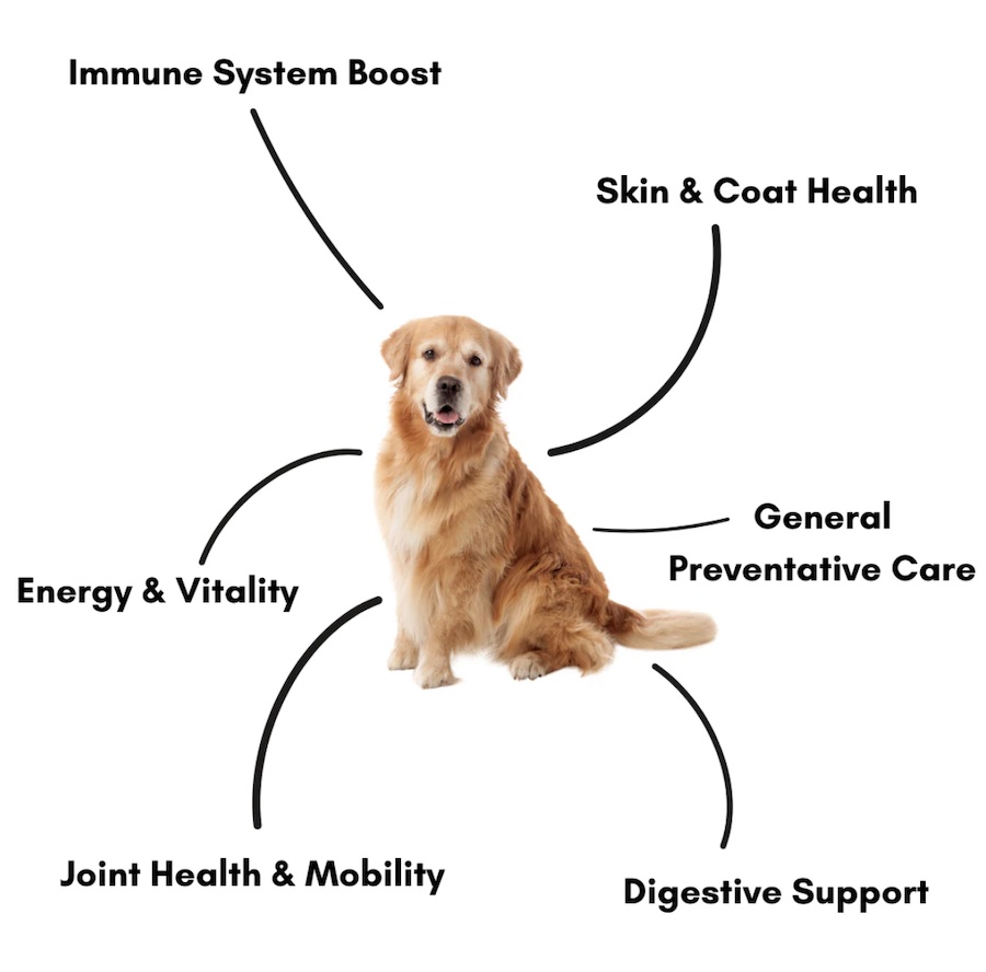 Pawsome Nutrition Complete Canine 200g - Petworkz - Canine Cancer And Nutrition For Therapy Dogs